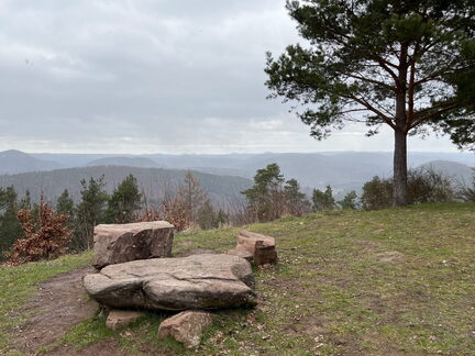 23-02-26 13-07-42 4355